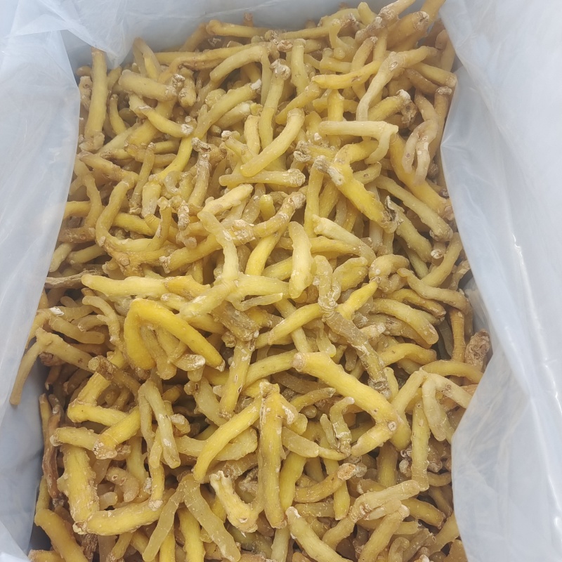 湖南玉竹条选装油条生晒无硫干度好颜色好发货快量大从优