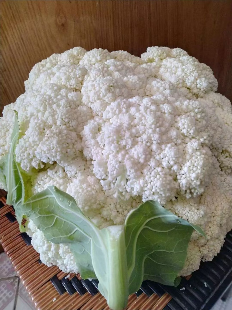 花菜苗，自产自销，保证质量，量大从优，全国发货。
