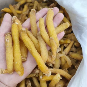 湖南玉竹条选装油条生晒无硫干度好颜色好发货快量大从优