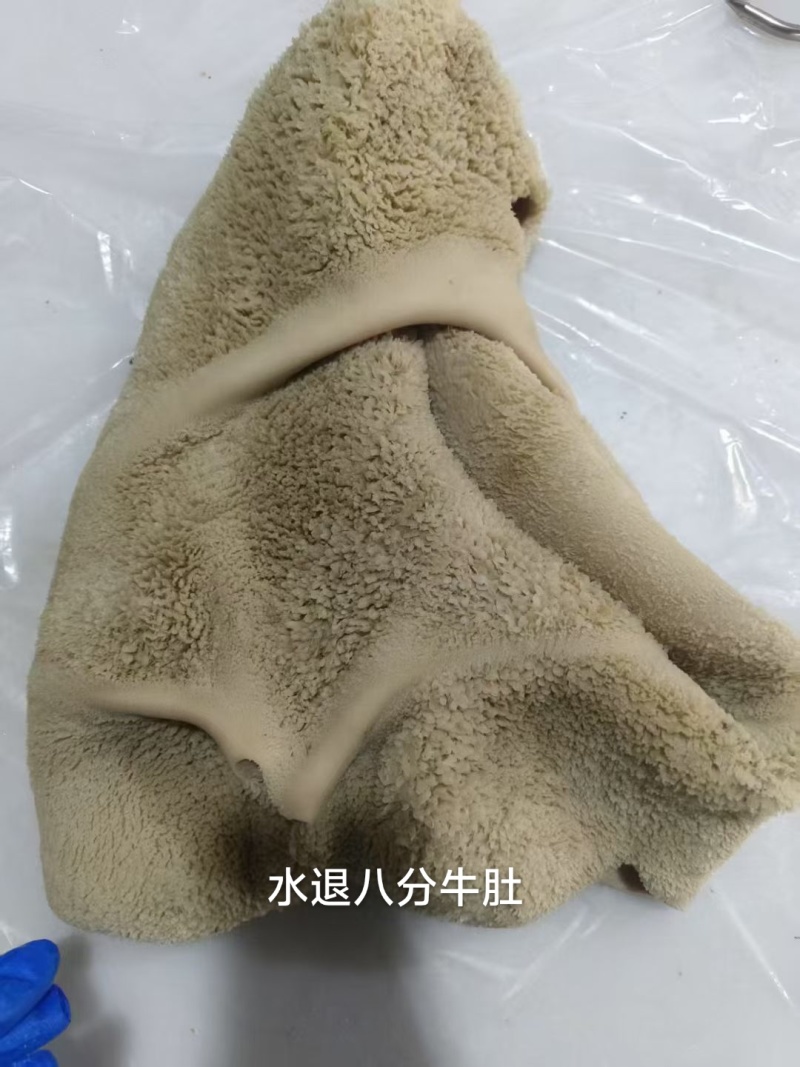 水退八分牛肚