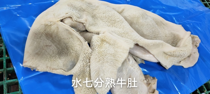 水退七分牛肚