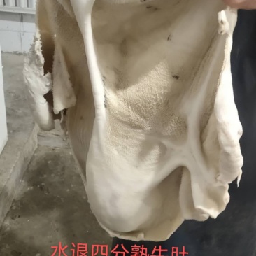 水退四分牛肚
