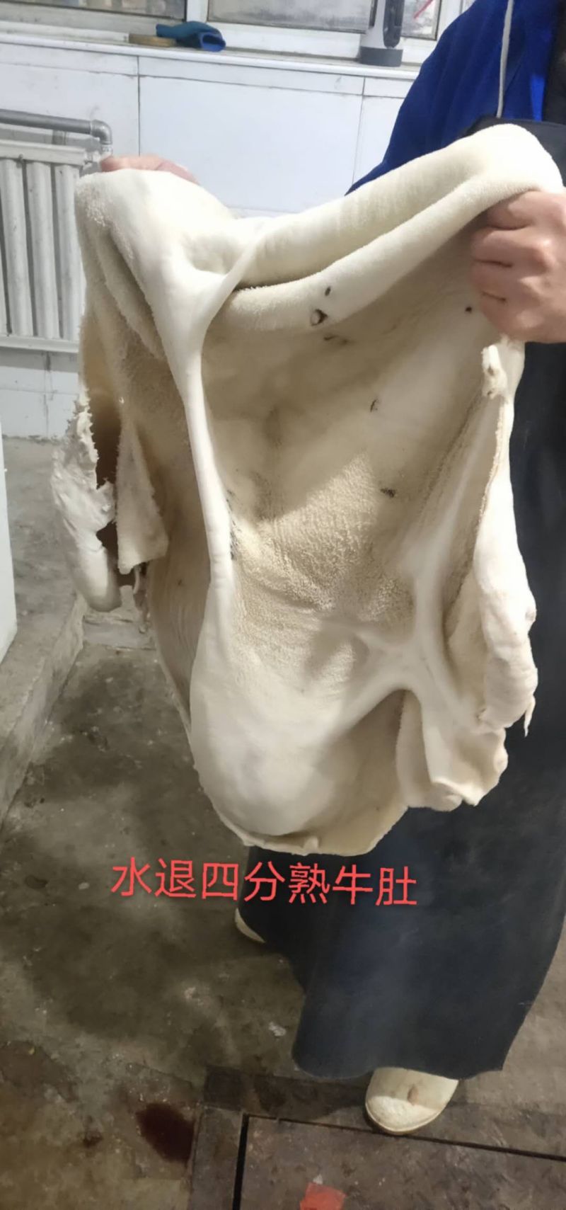 水退四分牛肚