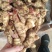 红芽鲜姜种植基地红芽鲜姜品质好现挖鲜姜货源充足