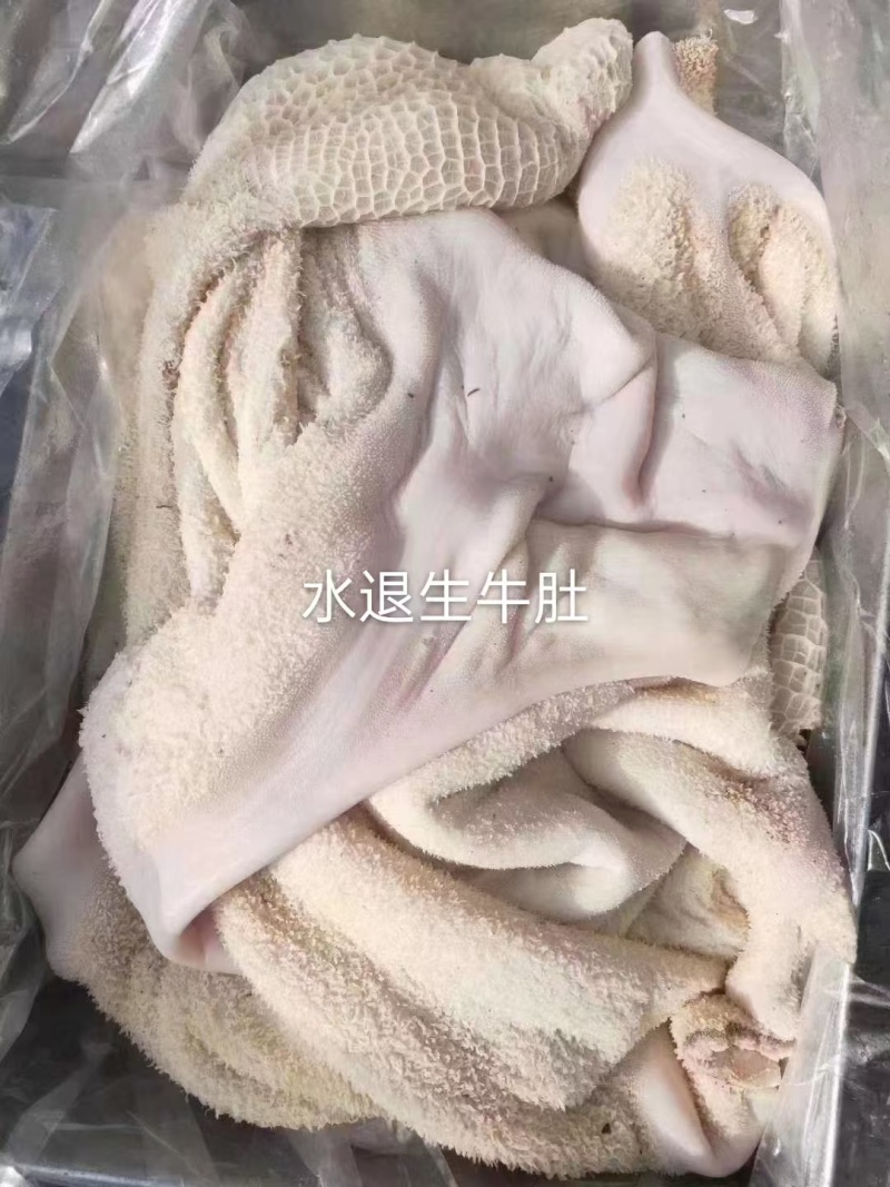 水退生牛肚