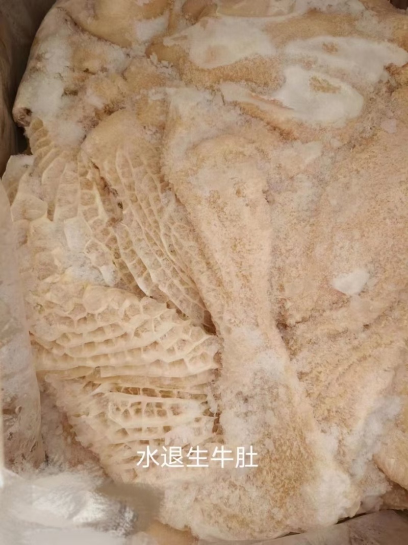 水退生牛肚
