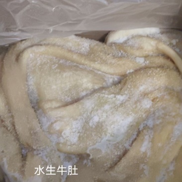 水退生牛肚