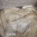 水退生牛肚