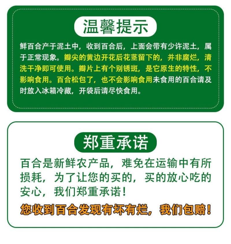甘肃兰州农家自挖新鲜百合四颗一斤装批发价格