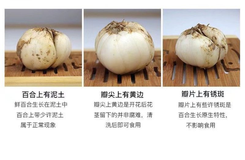 甘肃兰州农家自挖新鲜百合四颗一斤装批发价格