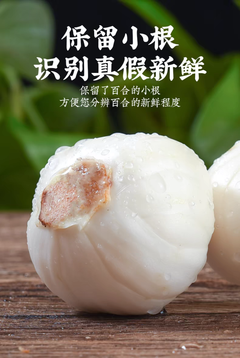 甘肃兰州农家自挖新鲜百合四颗一斤装批发价格