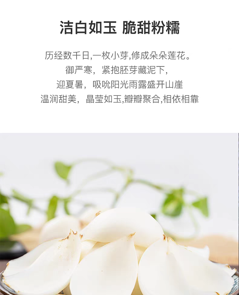 甘肃兰州农家自挖新鲜百合四颗一斤装批发价格