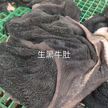 生黑牛肚
