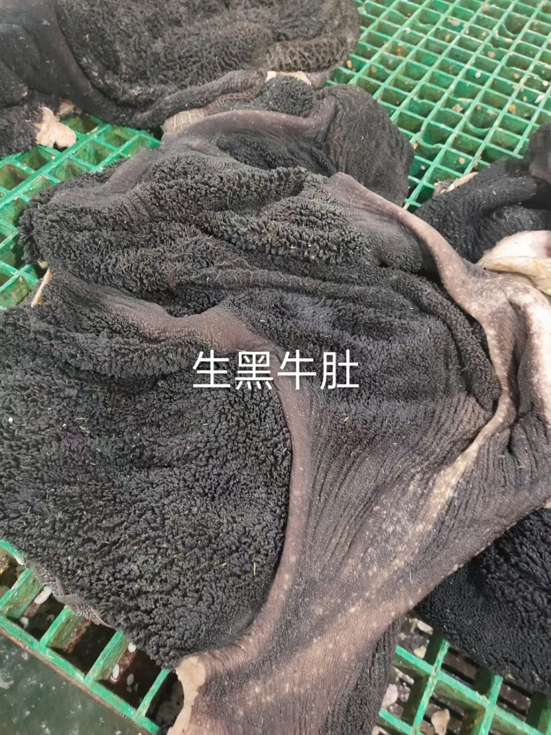 生黑牛肚