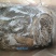 生黑牛肚