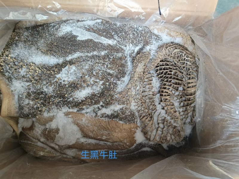 生黑牛肚