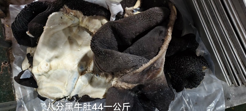 八分黑牛肚