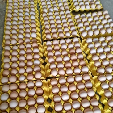 33，35精品红心