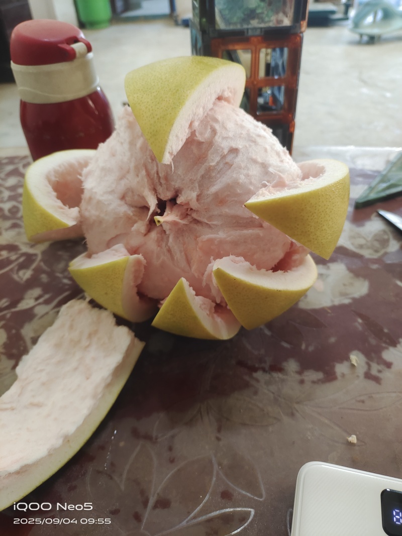 三红柚，黄心柚开园