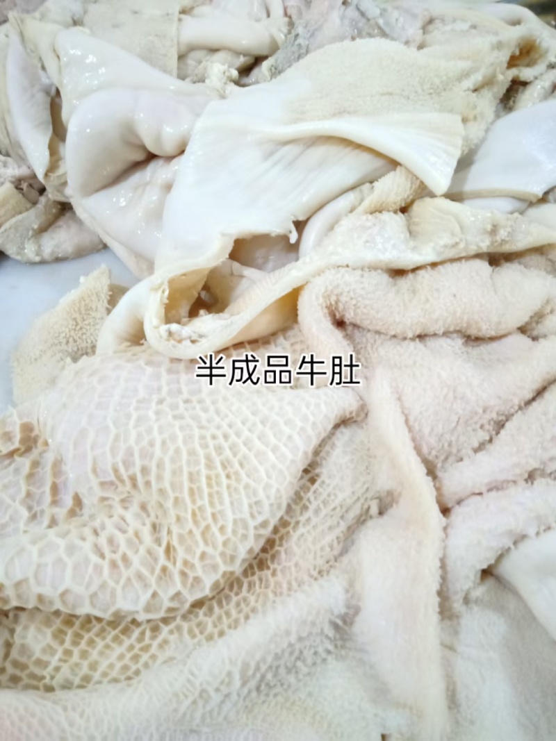 半成品牛肚