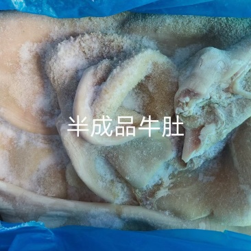 半成品牛肚