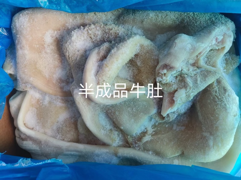 半成品牛肚