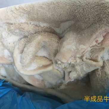 半成品牛肚全肚