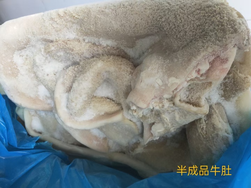 半成品牛肚全肚