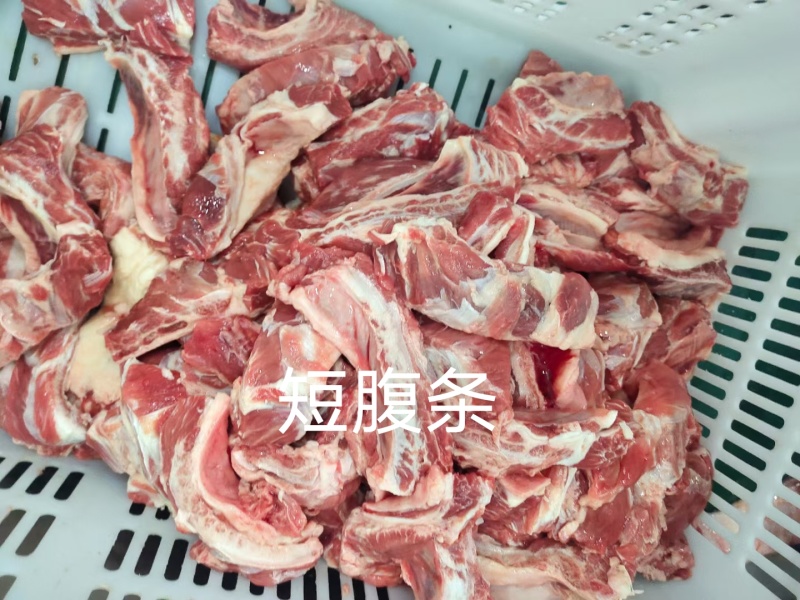 短腹肉条