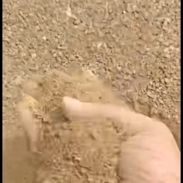 肠膜粉
