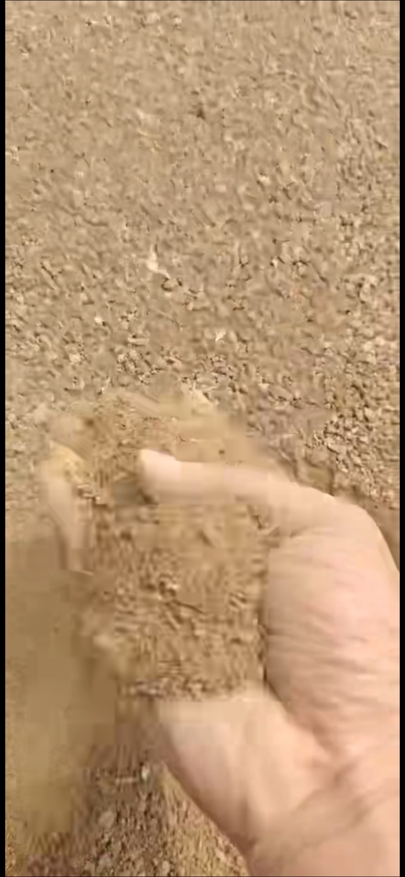 肠膜粉