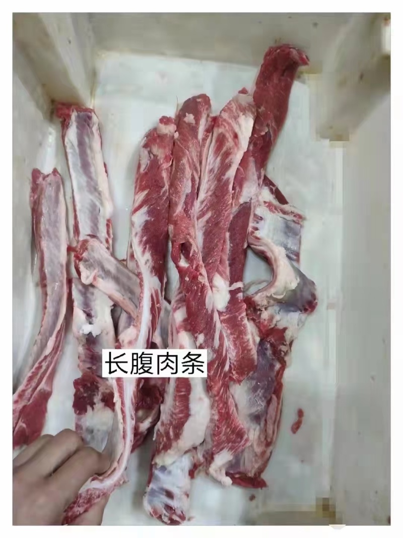 长腹肉条