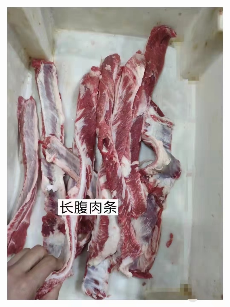 长腹肉条