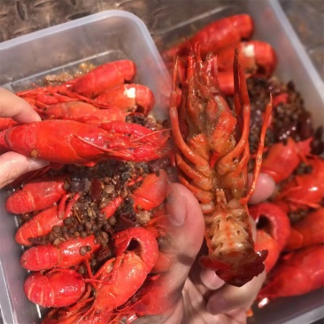 好味源麻辣小龙虾9元整箱650g*10盒长沙麻辣小龙虾加