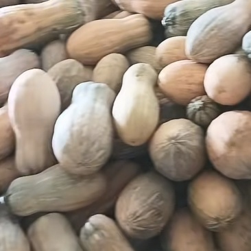 南瓜