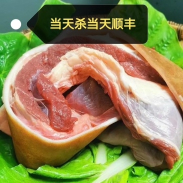 新鲜带皮牛肉量大从优。