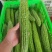 精品苦瓜质量优质支持走高级市场走电商食堂价格优惠