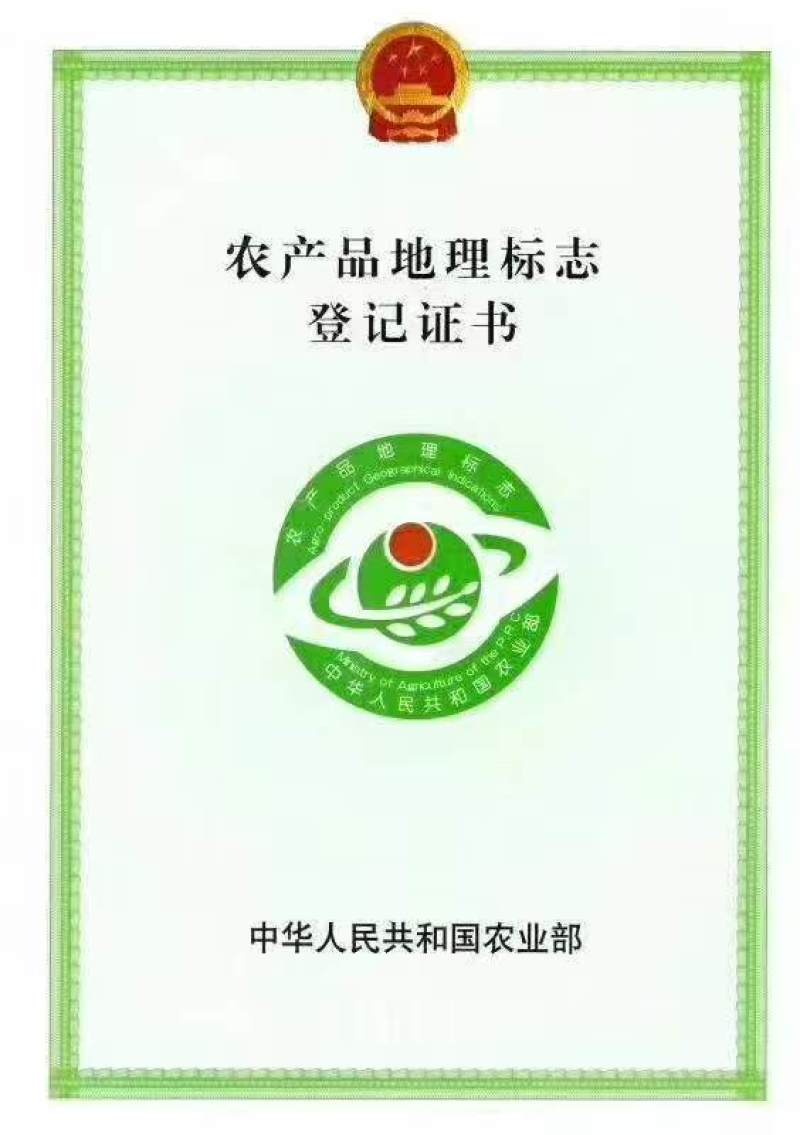 张庆康灵芝孢子粉大量货源产地直发/品质保证量大从优