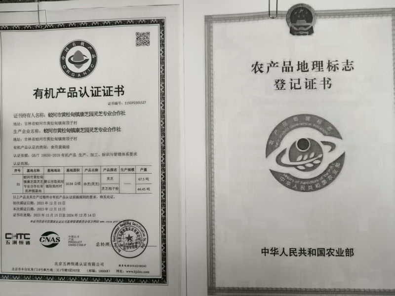 张庆康灵芝孢子粉大量货源产地直发/品质保证量大从优