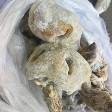 半成品牛鼻子