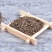 中药材茺蔚子充蔚子茺卫子茺玉子益母草籽坤草籽