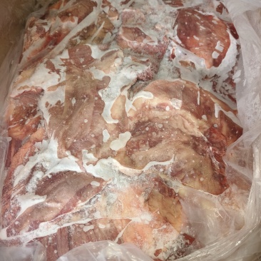 罗肌肉