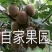 陕西眉县徐香猕猴桃🥝