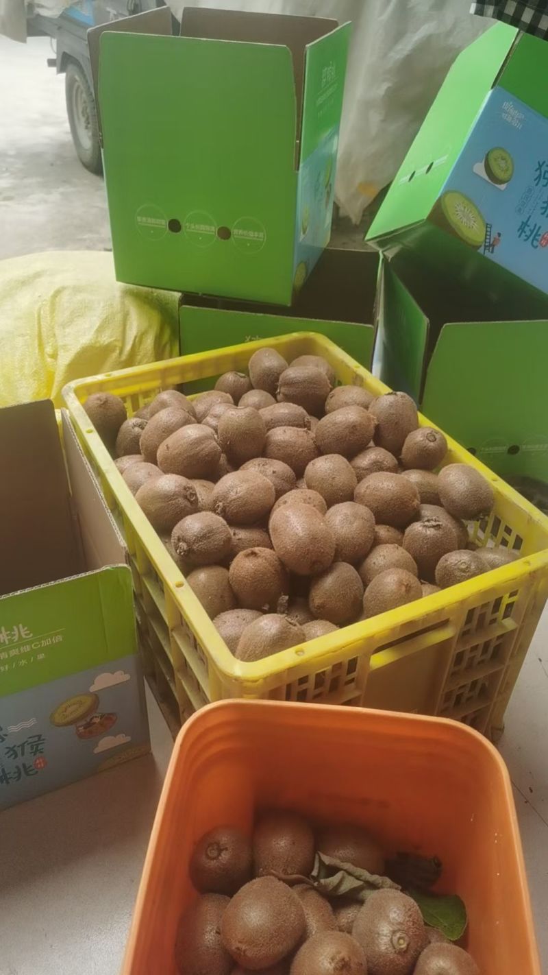 陕西眉县徐香猕猴桃🥝