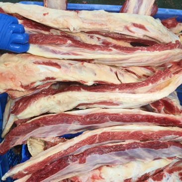 加肉燕翅骨