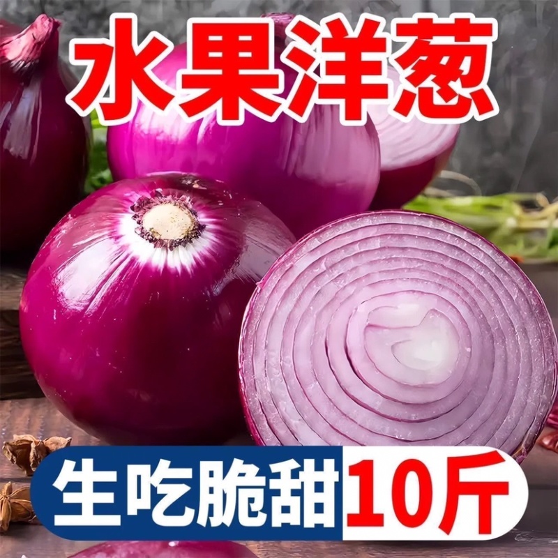 洋葱基地/紫皮洋葱/甘肃洋葱种植基地/现货