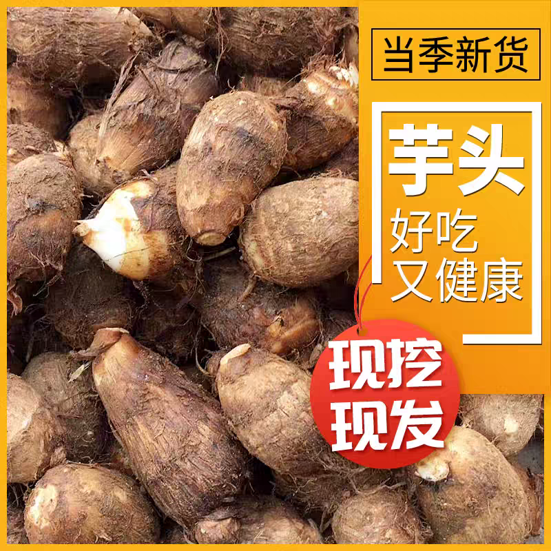 《荔浦芋头》槟榔芋/牛奶芋头/品种齐全/欢迎来电合作
