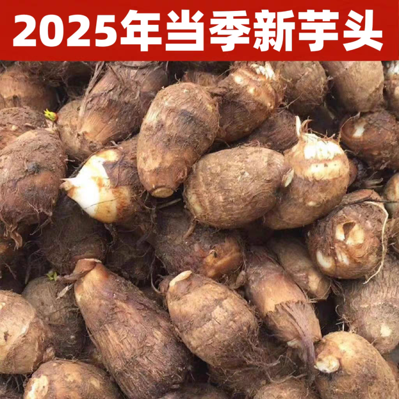 《荔浦芋头》槟榔芋/牛奶芋头/品种齐全/欢迎来电合作