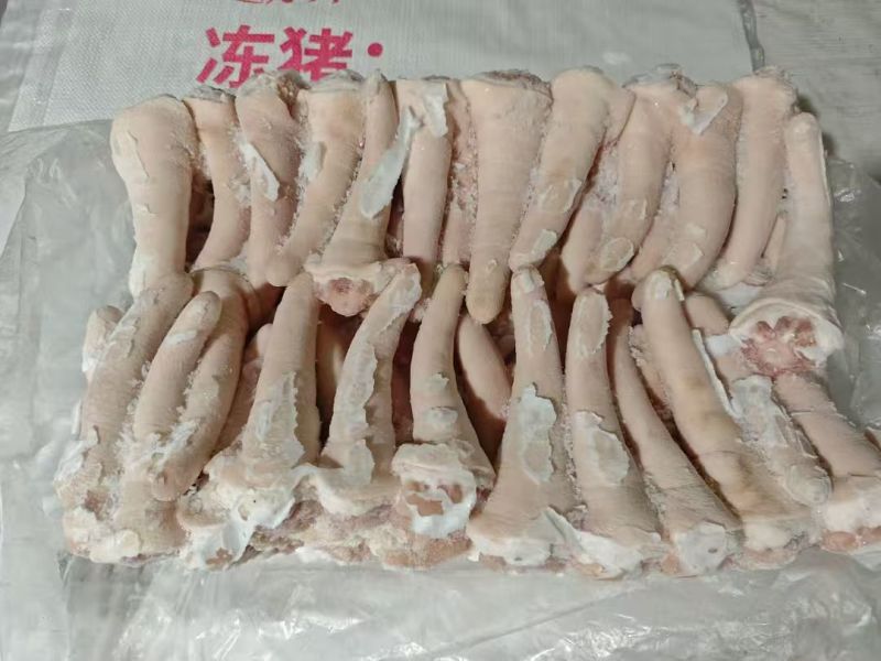 中尾/长尾猪尾