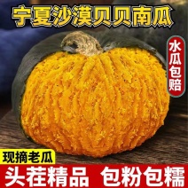 《贝贝南瓜》宁夏南瓜/产地货源/价格便宜/欢迎来电合作